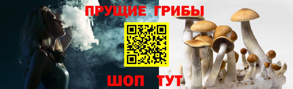 Дивногорск  Галлюциногенные грибы Psilocybe  Вход с VPN 